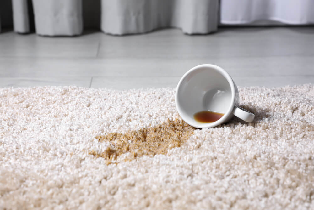 What Do Our Carpet Cleaning Services Include
