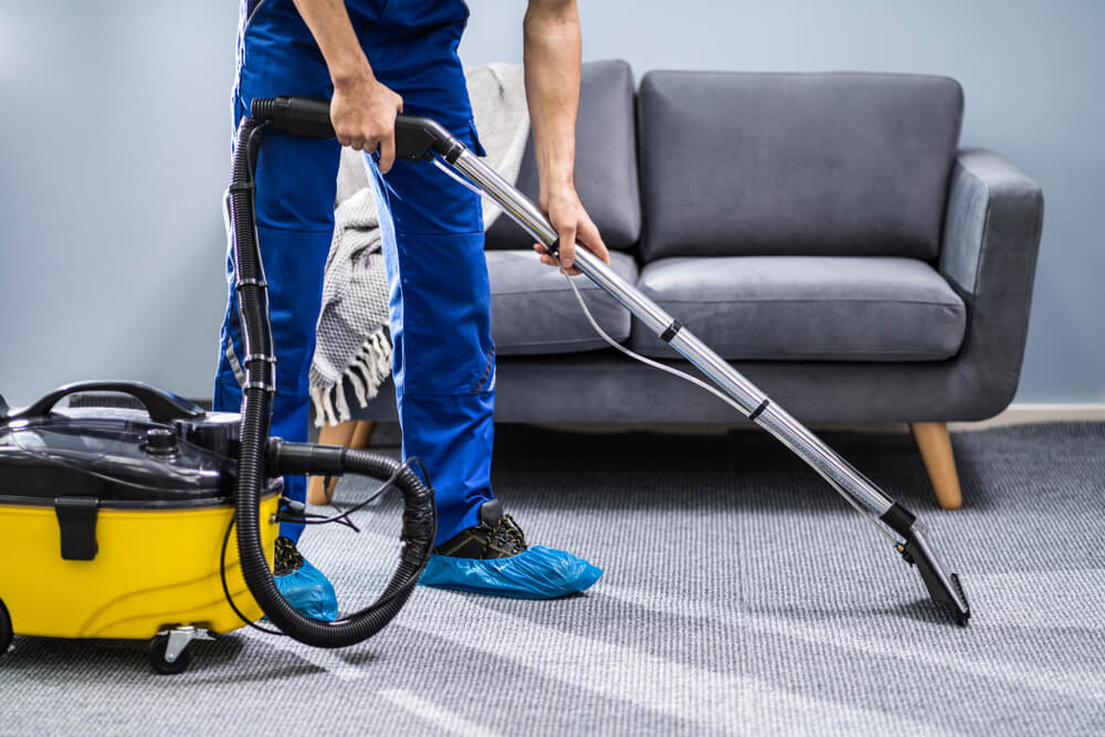 Why Do Our Carpet Cleaning Services In Melbourne Stand Out From The Rest