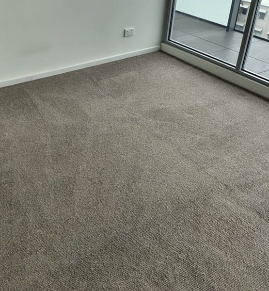 Carpet cleaning Melbourne after After a carpet cleaning in Melbourne