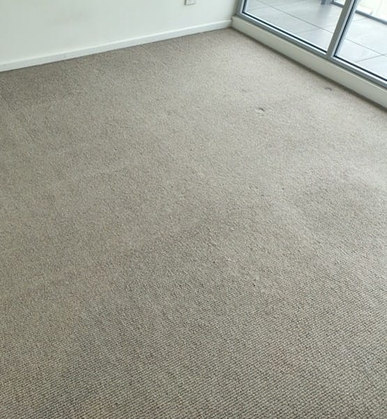 Carpet cleaning Melbourne before Before a carpet cleaning in Melbourne