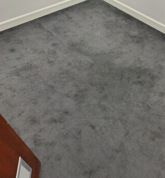 Carpet cleaning services Melbourne Before a carpet cleaning service in Melbourne