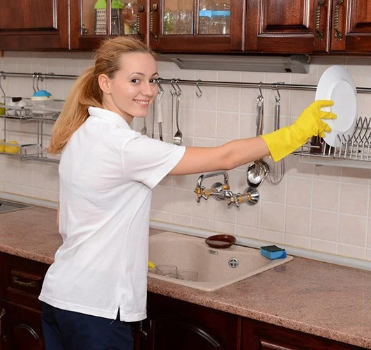Domestic cleaning services
