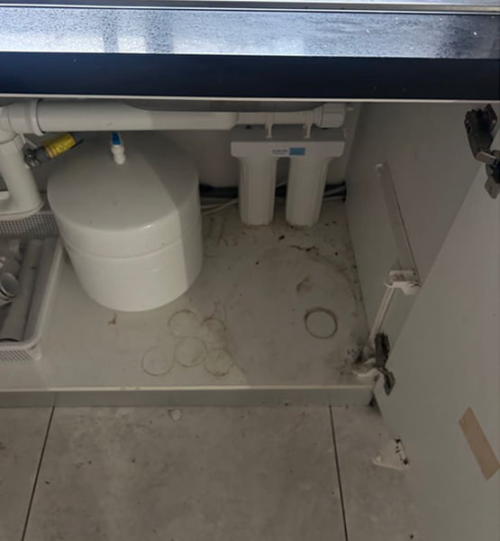 End of lease cleaning cabinet before