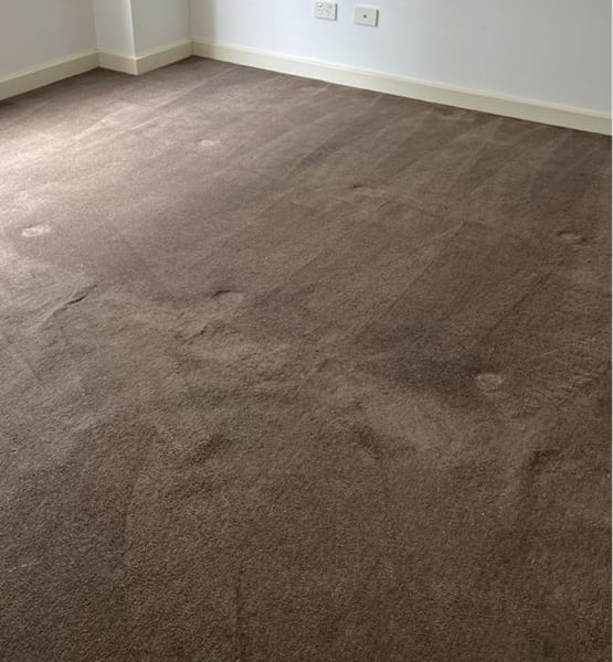 End of lease cleaning carpet after