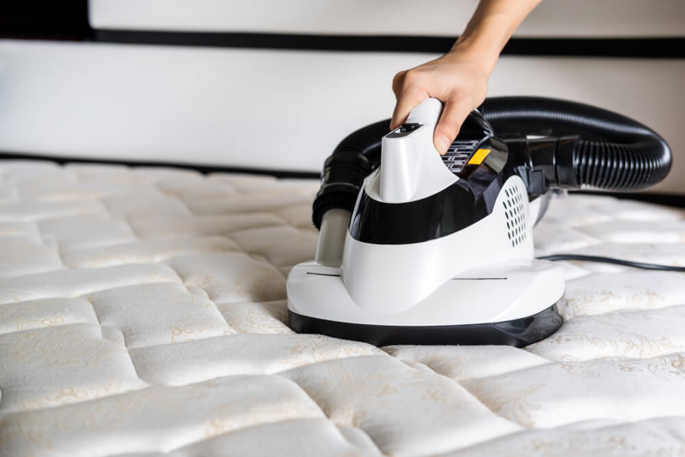Professional Mattress Cleaners