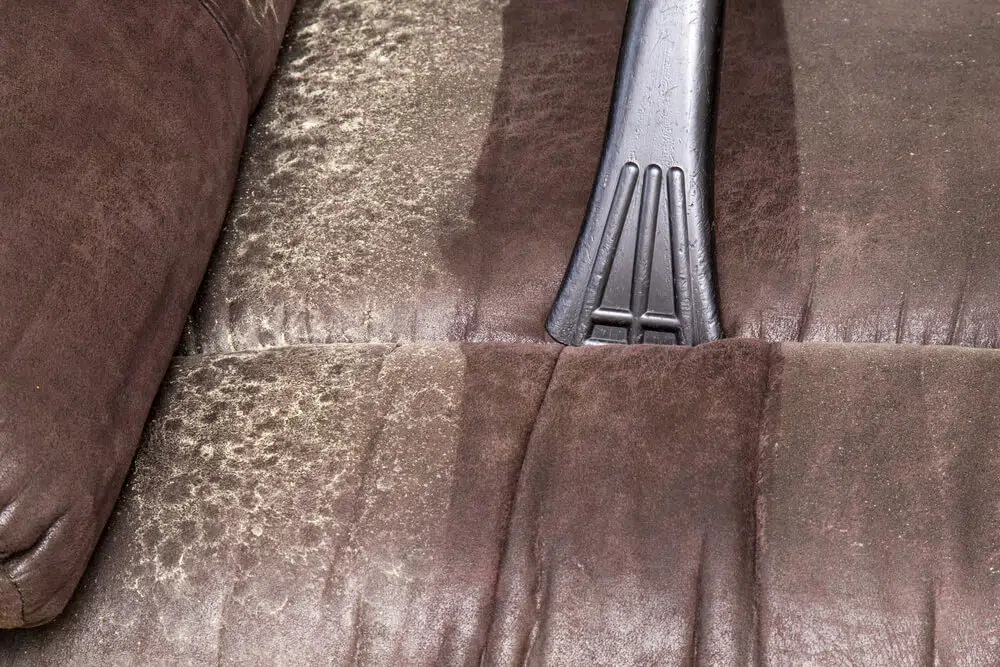 Stains On Your Leather Sofa