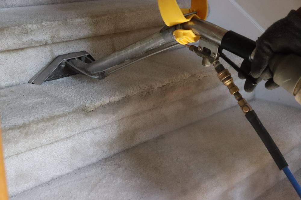 Guide To End Of Lease Carpet Cleaning